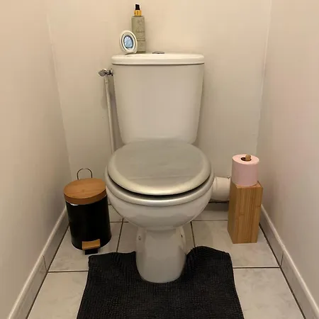 Apartment T2 Avec Jardinet A Aucamville, Toulouse